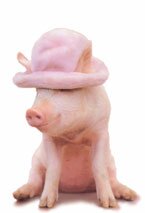 2007 год - год розовой свиньи